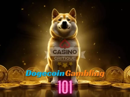 Dogecoin Gambling 101
