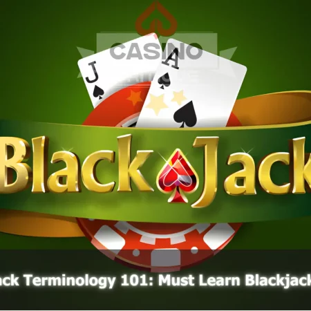 Blackjack Terminology 101: Must Learn Blackjack Terms